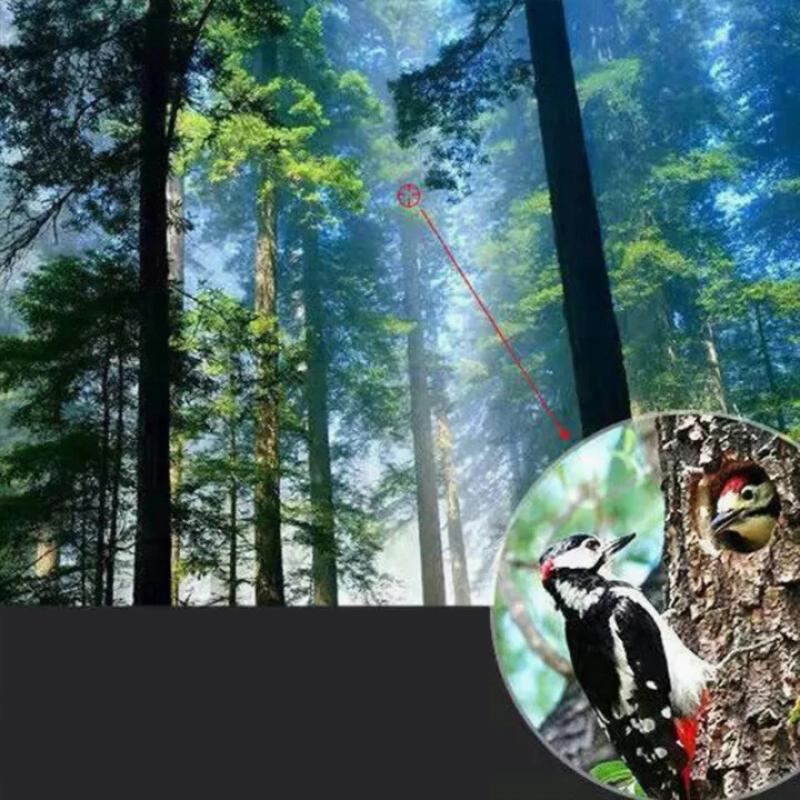 Handheld 40x60 Monocular Teles - Outdoor Adventure Images review and price